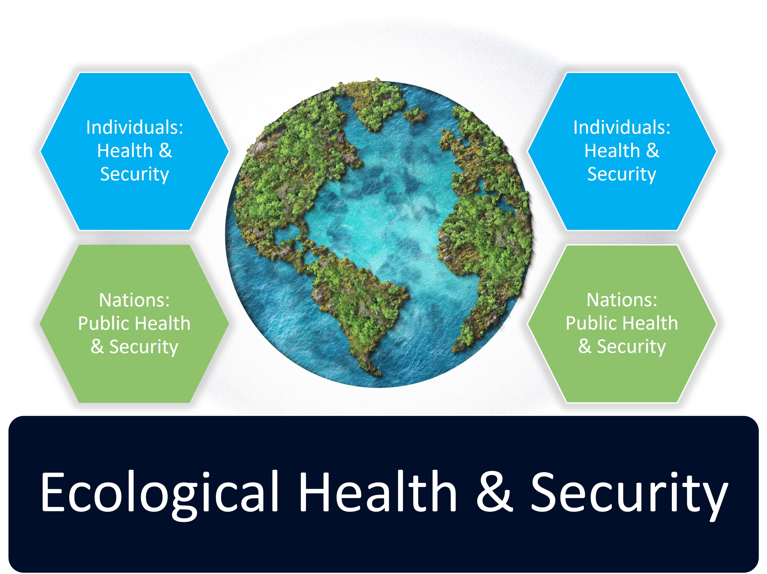 Ecologicql Wellbeing